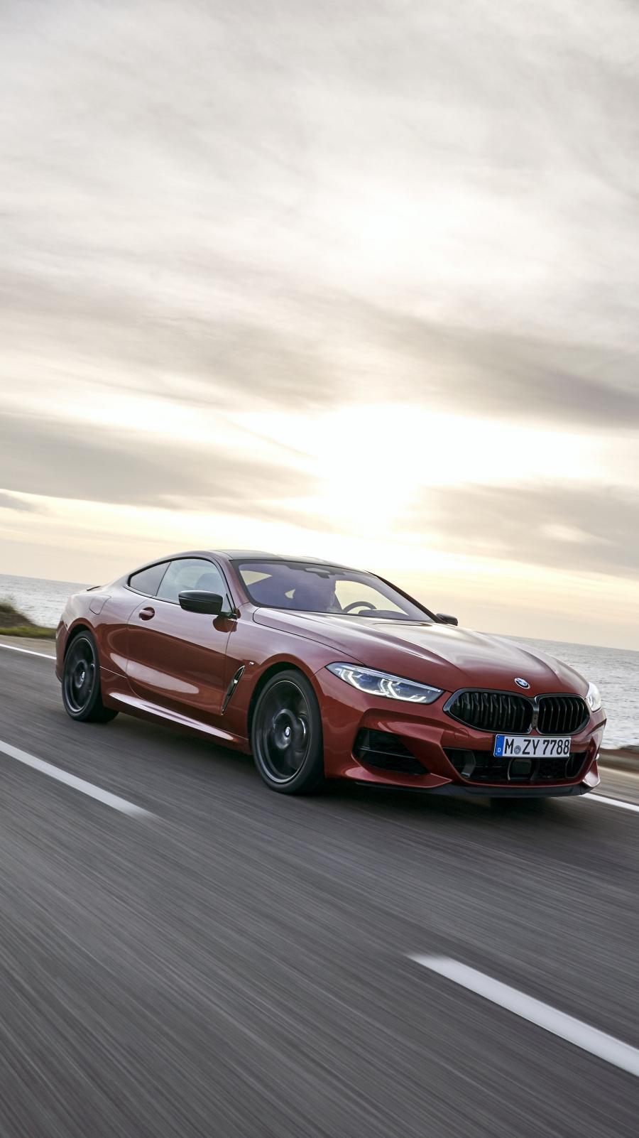  BMW M850i xDrive Carbon Package (G15) 2018 года  (WW) (фото 232 из 287)